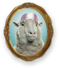 Portrait of a sheep