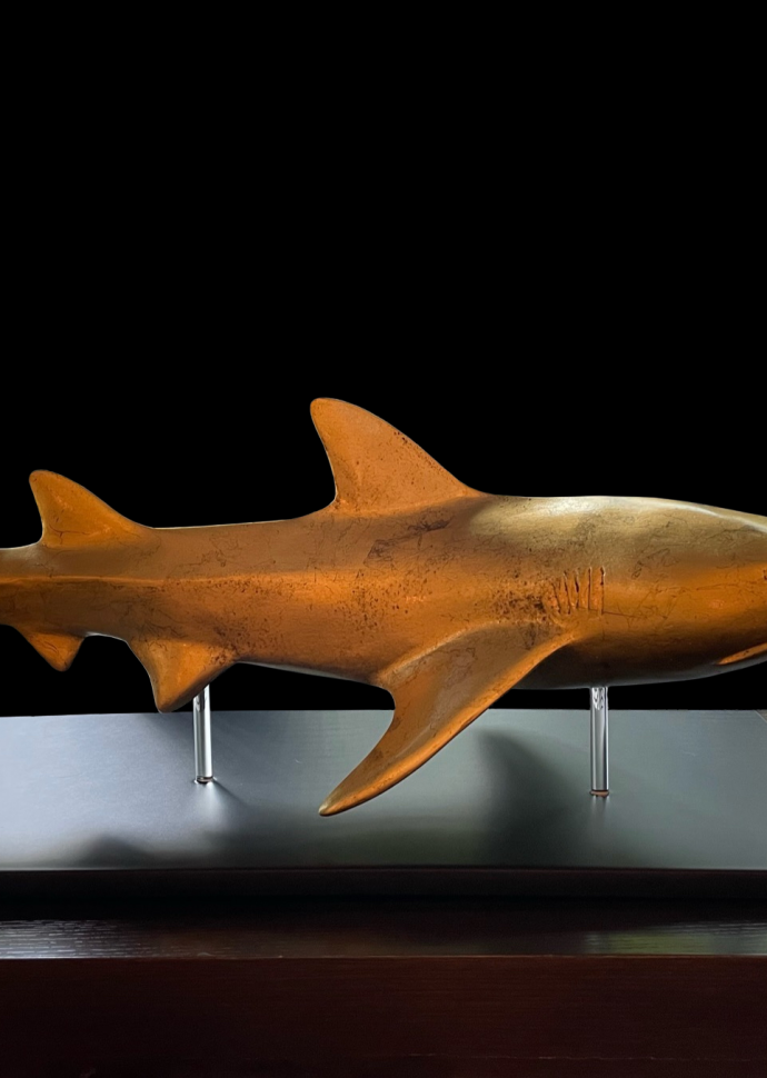 Manolis shark