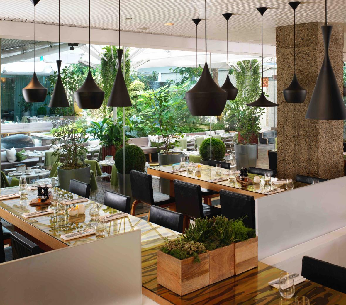 restaurant full of greenery