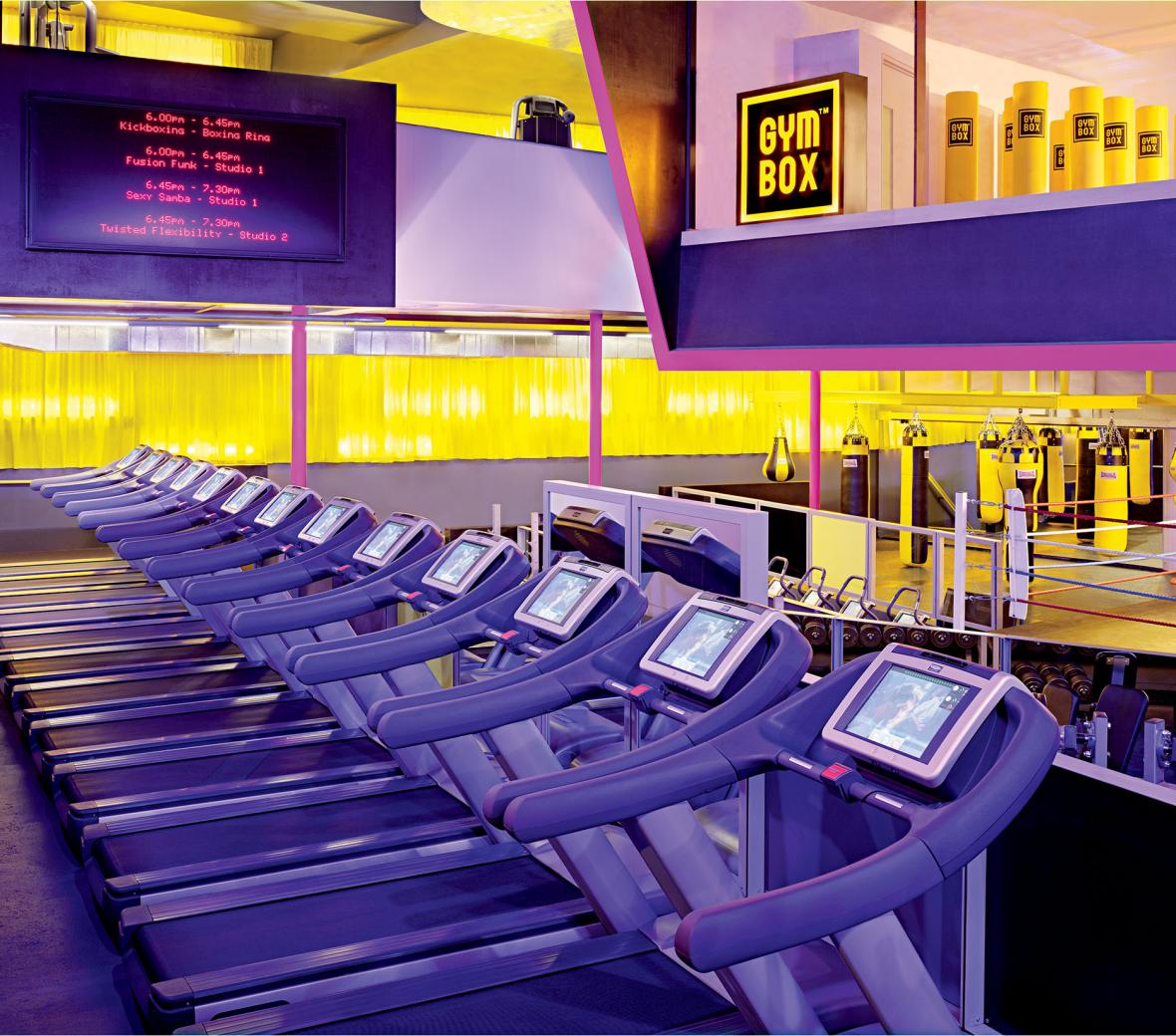 row of treadmills in a gym
