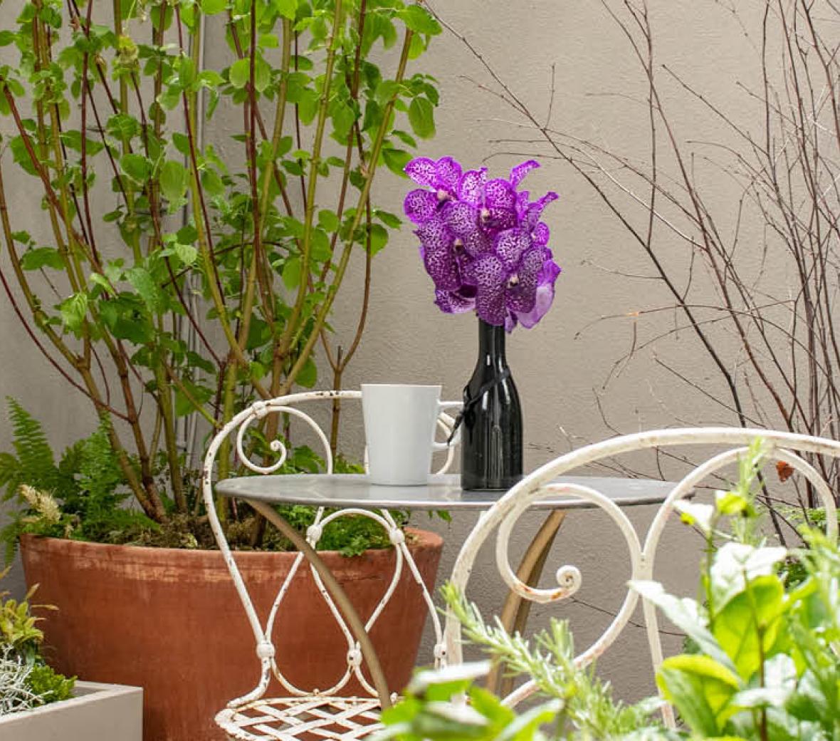 cafe table in a garden with purple flowers