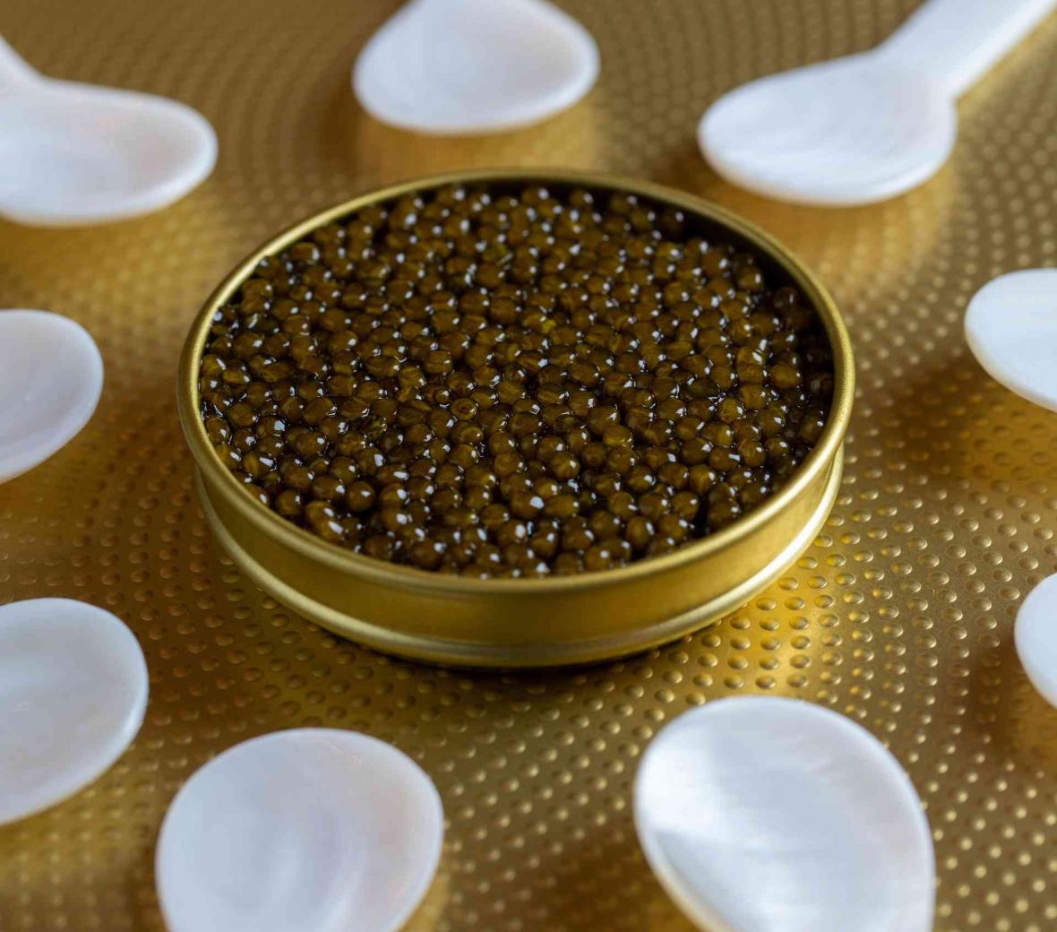 Caviar and spoons