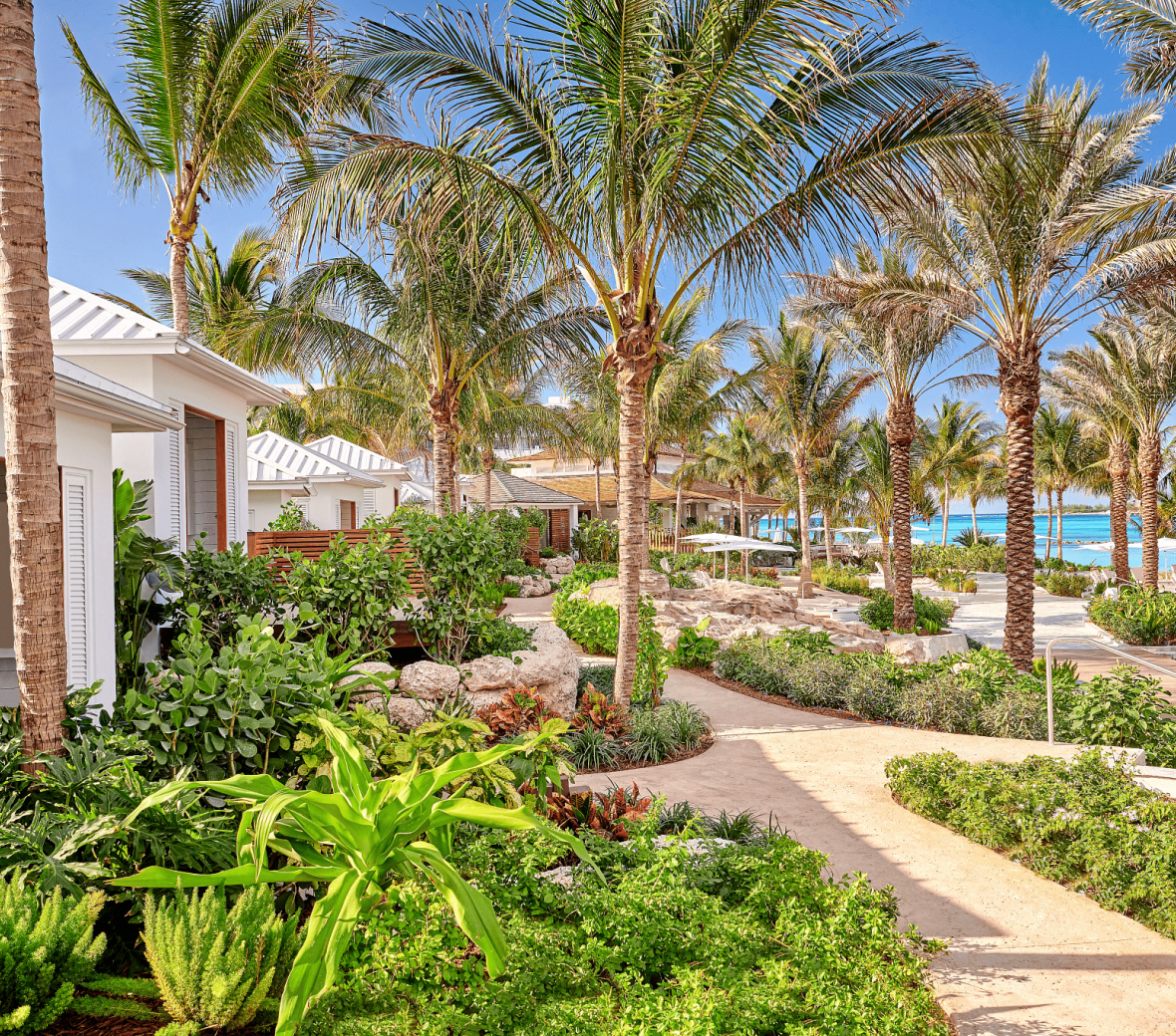 walkway to the beach club