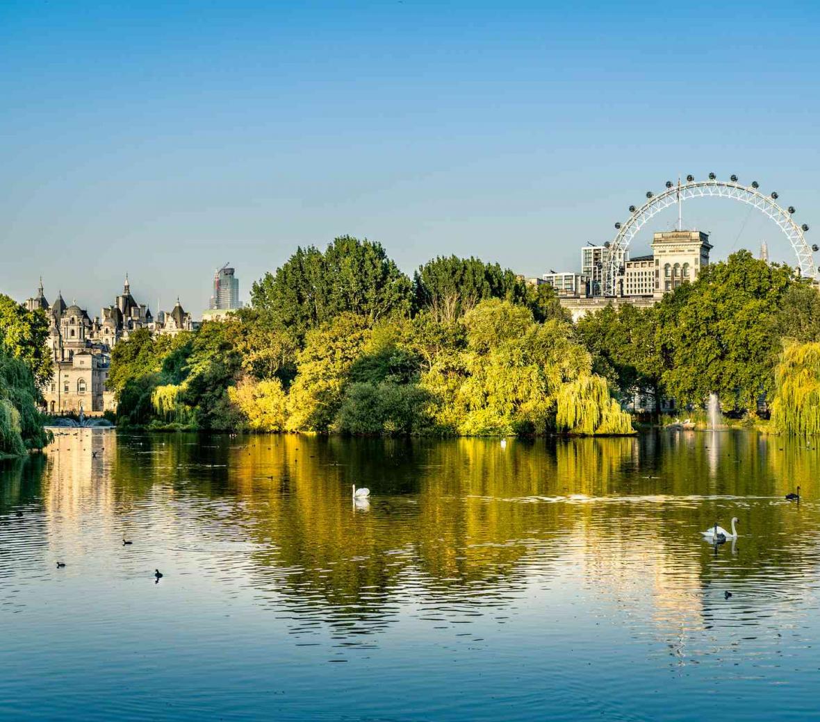 view of the London eye behind a park