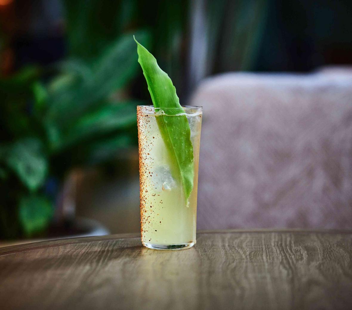 cocktail