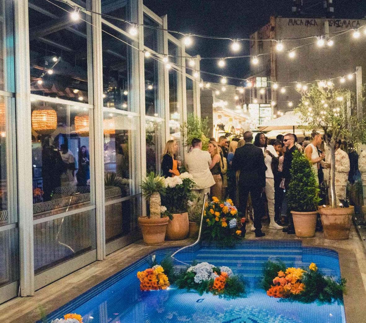 Laurels on the roof outside at night