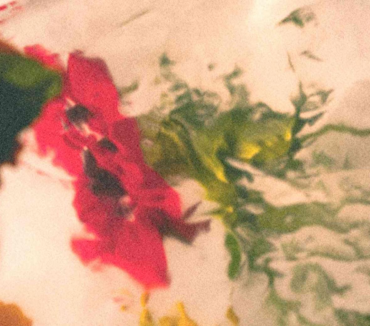 flower pattern
