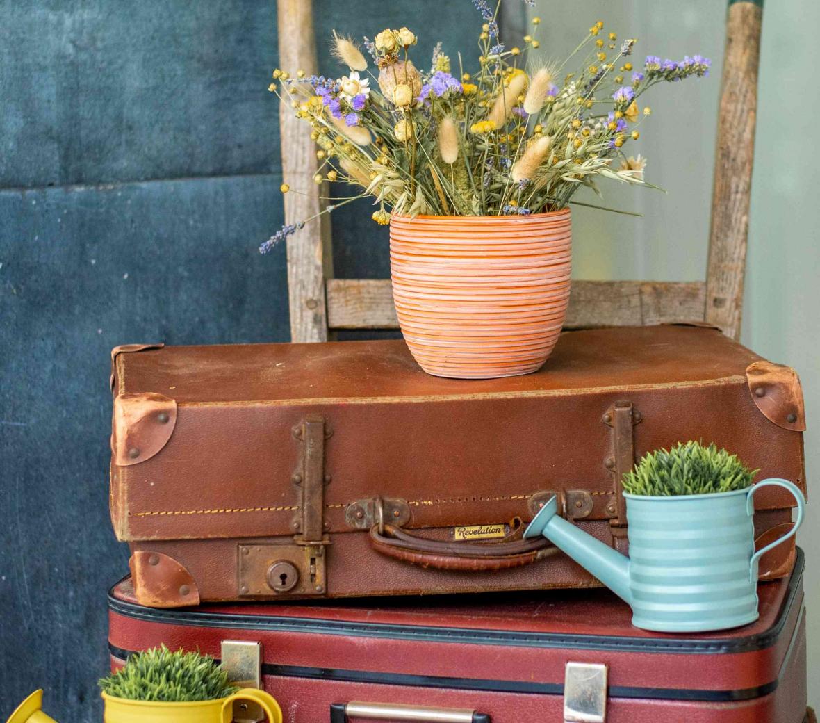 Uncommon Terrace Luggage