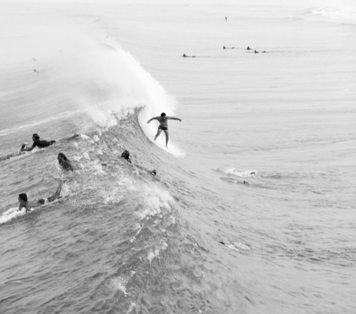 The Drop 2016- Juan Lamarca