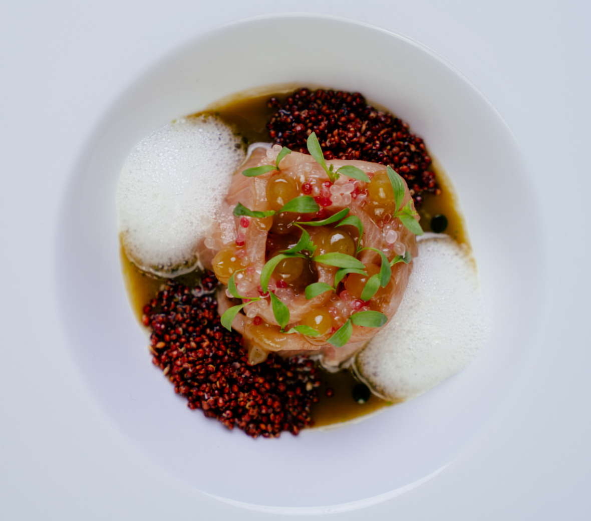 ceviche, foam, quinoa in a broth