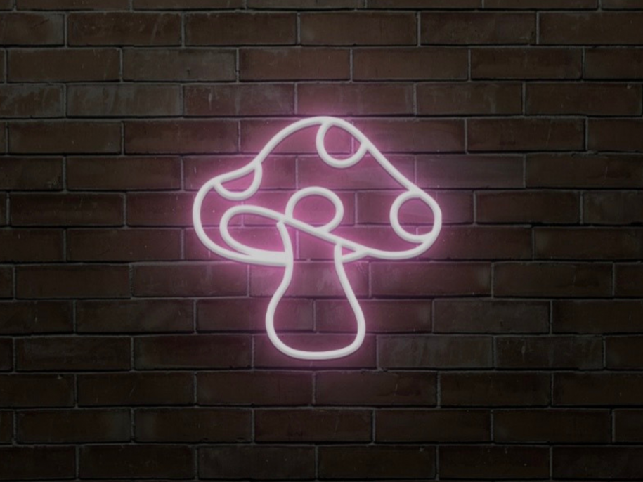 WELLNESS: OH MY SHROOMS WORKSHOP