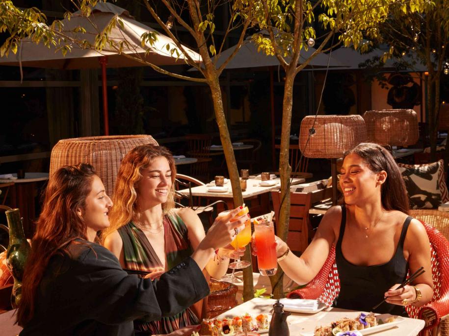 Girls cheering over wine 