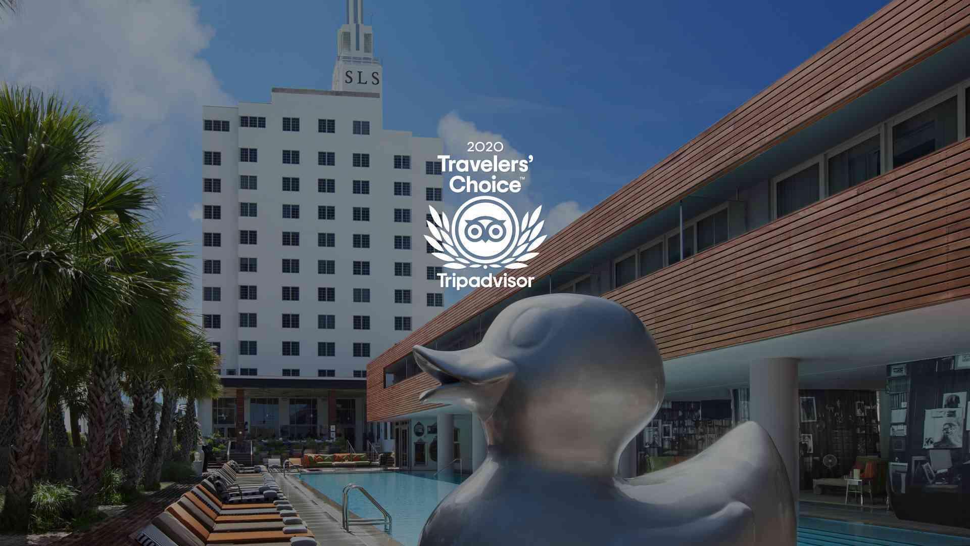 2020 Travelers' Choice  Tripadvisor Winner