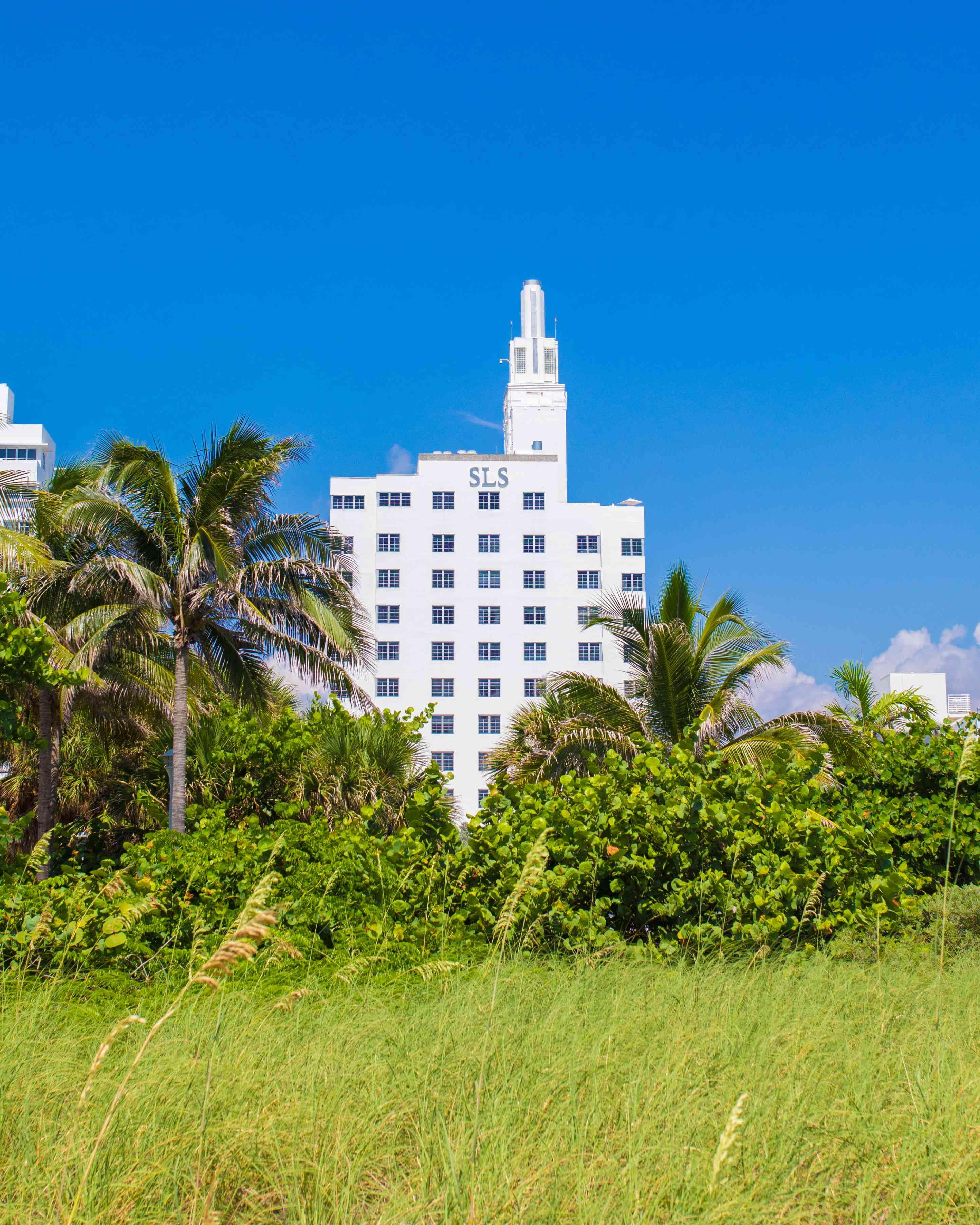 SLS South Beach Tower against green grass and palm trees