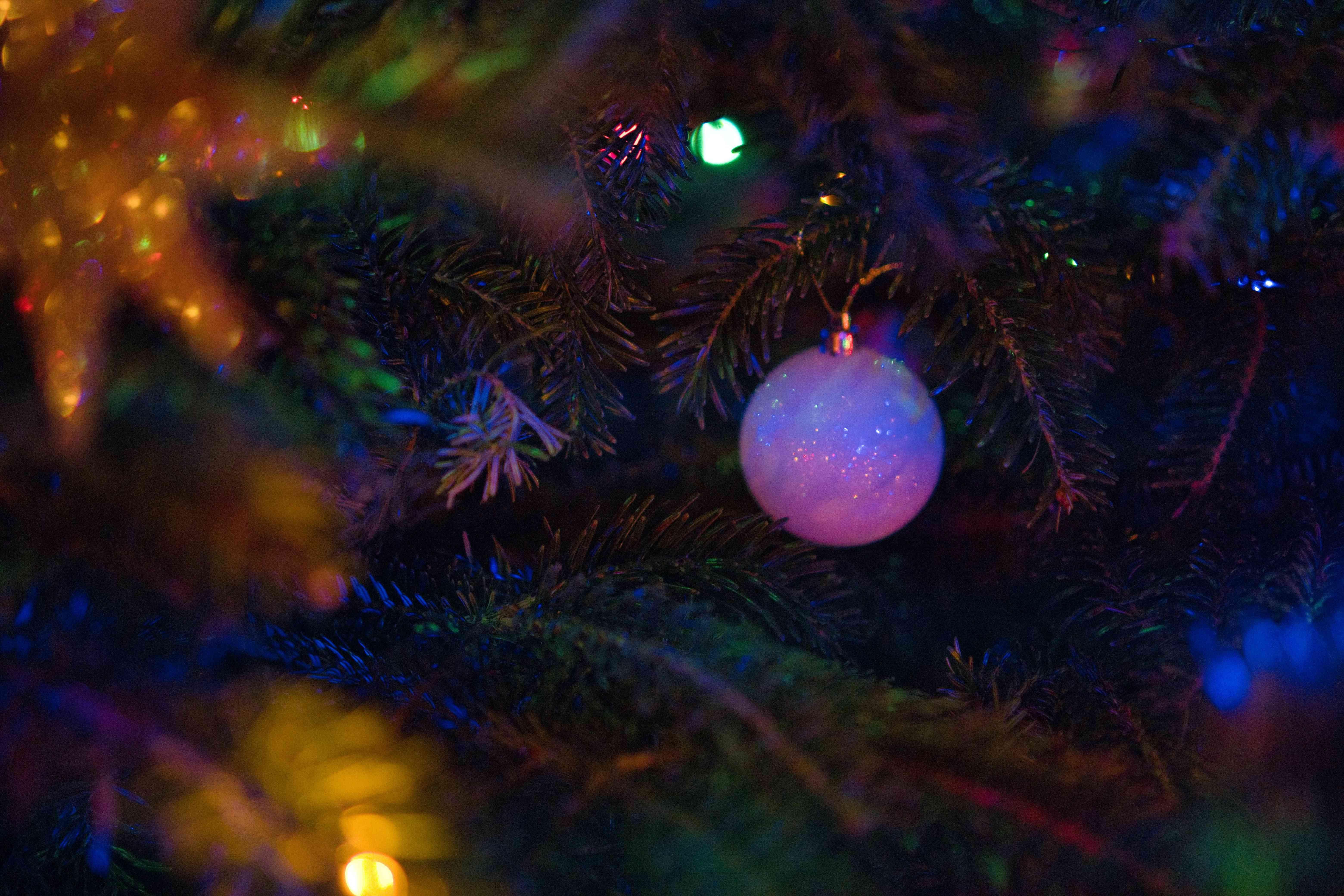 Festive Christmas Lights Blurred 