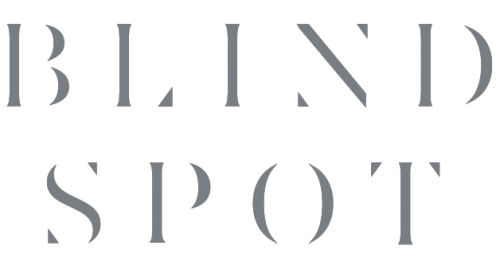 blind spot logo grey